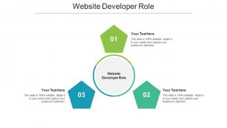 Website developer role ppt powerpoint presentation ideas good cpb