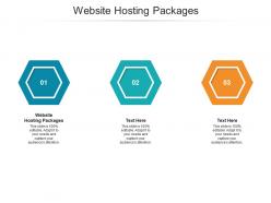 Website hosting packages ppt powerpoint presentation infographics design ideas cpb