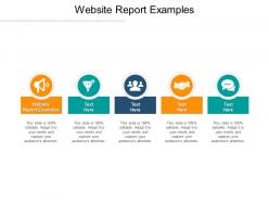 Website report examples ppt powerpoint presentation styles example cpb