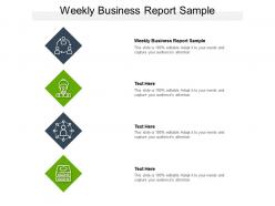 Weekly business report sample ppt powerpoint presentation file gallery cpb