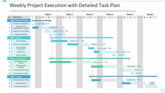Weekly project execution with detailed task plan