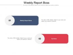 Weekly report boss ppt powerpoint presentation icon information cpb