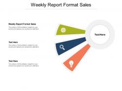 Weekly report format sales ppt powerpoint presentation model infographic template cpb