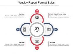 Weekly report format sales ppt powerpoint presentation outline ideas cpb