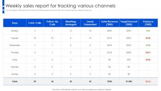 Weekly Sales Report For Tracking Various Channels