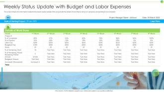 Weekly Status Update With Budget And Labor Expenses