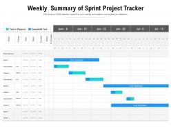 Weekly summary of sprint project tracker