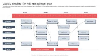 Weekly Timeline For Risk Management Plan