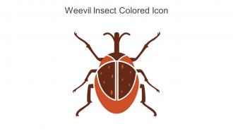 Weevil Insect Colored Icon In Powerpoint Pptx Png And Editable Eps Format