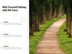 Well traveled pathway with old trees