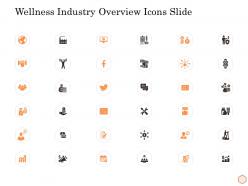 Wellness industry overview icons slide ppt summary information