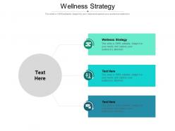 Wellness strategy ppt powerpoint presentation visual aids outline cpb