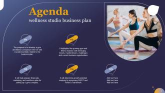 Wellness Studio Business Plan Powerpoint Presentation Slides Idea Image