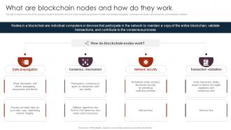 What Are Blockchain Nodes Unlocking The Power Of Blockchain An Introduction BCT SS V