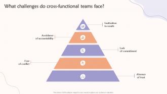 What Challenges Do Cross Functional Teams Face Teams Contributing To A Common Goal