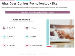 What does content promotion look like vulpine interactive funding elevator ppt icon