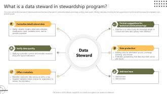 What Is A Data Steward In Stewardship Program Stewardship By Systems Model