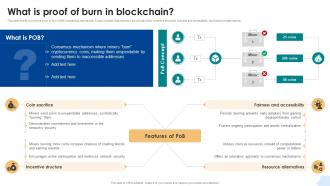 What Is Proof Of Burn In Blockchain Consensus Mechanisms In Blockchain BCT SS V