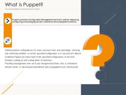 What is puppet ppt powerpoint presentation model ideas