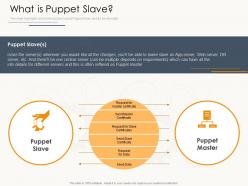 What is puppet slave ppt powerpoint presentation pictures elements