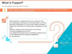 What Is Puppet Unendingly Checking And Confirming Powerpoint Presentation Skills