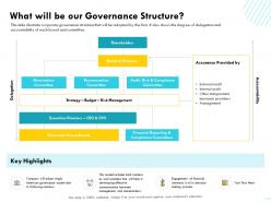 What will be our governance structure other anglo ppt powerpoint presentation professional summary