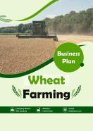 Wheat Farming Business Plan A4 Pdf Word Document