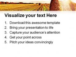 Wheat field agriculture powerpoint templates and powerpoint backgrounds 0511