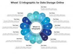 Wheel 13 for data storage online infographic template