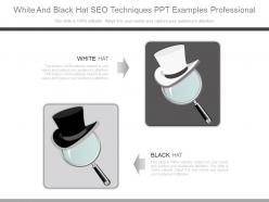 White And Black Hat Seo Techniques Ppt Examples Professional