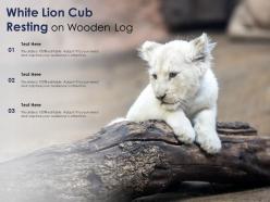 White lion cub resting on wooden log