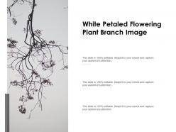 White Petaled Flowering Plant Branch Image