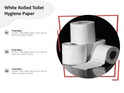 White rolled toilet hygiene paper