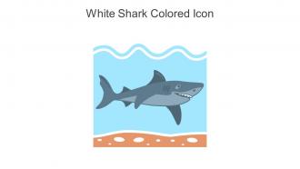 White Shark Colored Icon In Powerpoint Pptx Png And Editable Eps Format