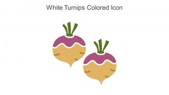 White Turnips Colored Icon In Powerpoint Pptx Png And Editable Eps Format