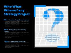 Who what when of any strategy project