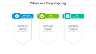 Wholesale drop shipping ppt powerpoint presentation gallery background cpb