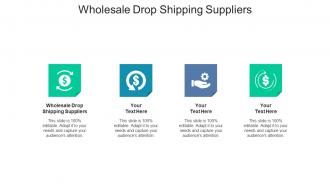 Wholesale drop shipping suppliers ppt powerpoint presentation outline slide cpb