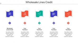 Wholesale Lines Credit Ppt Powerpoint Presentation Slides Template Cpb