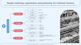Wholesale Marketing Strategy Sample Marketing Segmentation And Positioning For Wholesale