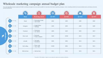 Wholesale Marketing Strategy Wholesale Marketing Campaign Annual Budget Plan