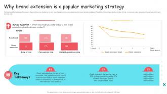 Why Brand Extension Is A Popular Marketing Strategy Ppt Structure