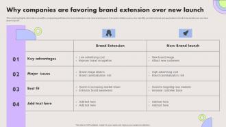Why Companies Are Favoring Brand Extension Over New Launch