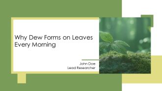 Why Dew Forms On Leaves Every Morning PPT Summary AT