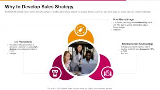 Why To Develop Sales Strategy Successful Sales Strategy To Launch