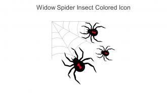 Widow Spider Insect Colored Icon In Powerpoint Pptx Png And Editable Eps Format