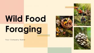 Wild Food Foraging PowerPoint PPT Template Bundles