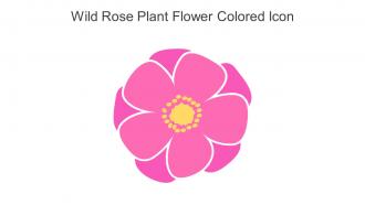 Wild Rose Plant Flower Colored Icon In Powerpoint Pptx Png And Editable Eps Format