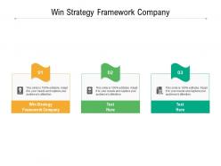 Win strategy framework company ppt powerpoint presentation show portfolio cpb