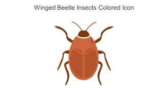 Winged Beetle Insects Colored Icon In Powerpoint Pptx Png And Editable Eps Format